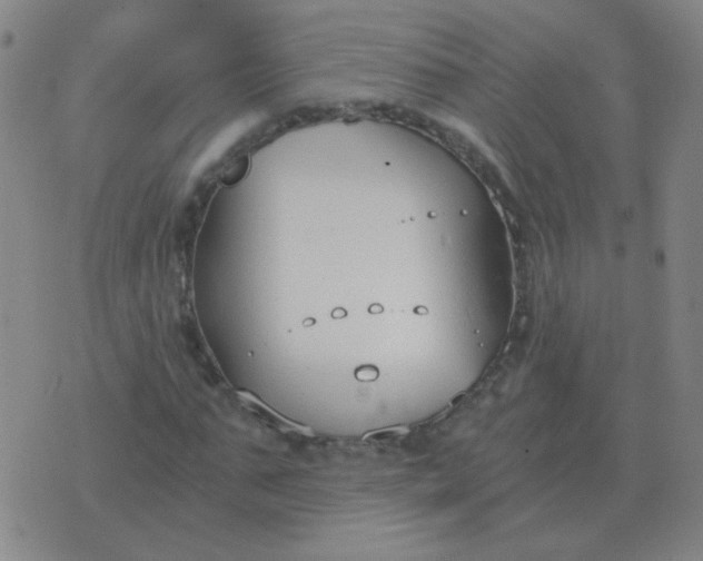 X0000076390871200610202102