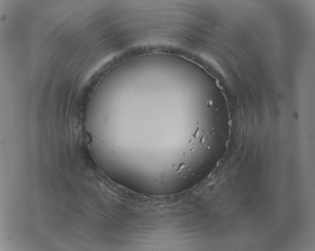 X0000076390872200610202102