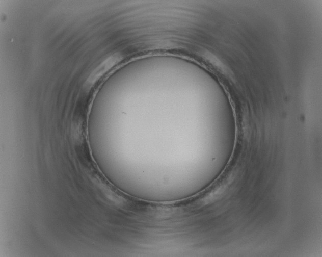 X0000076390873200610202102