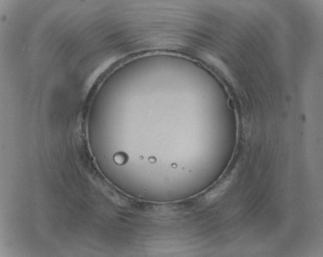 X0000076390875200610202102