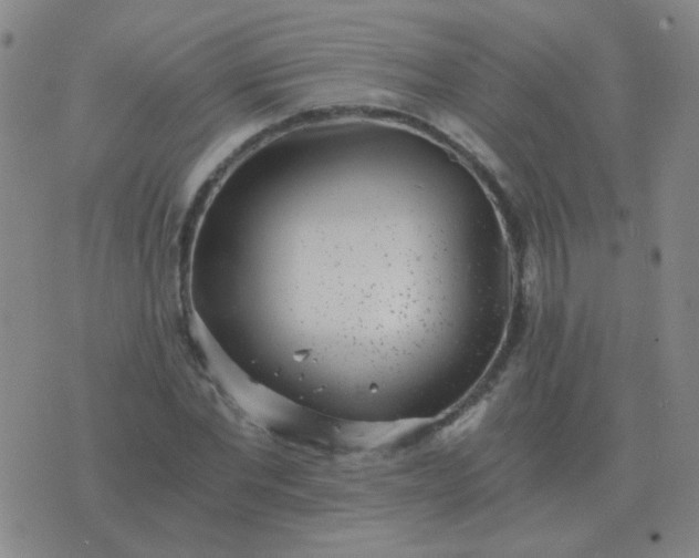 X0000076390877200610202102