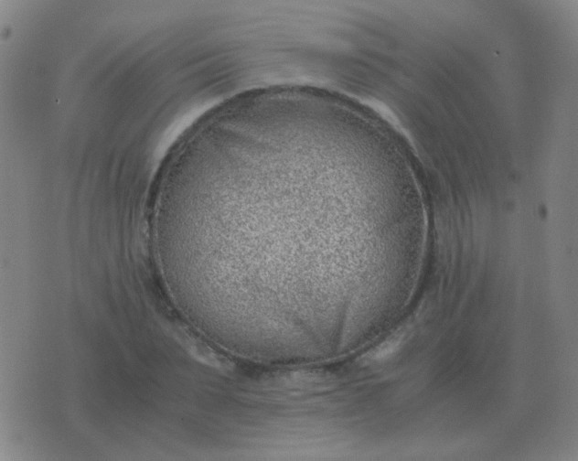 X0000076390879200610202102