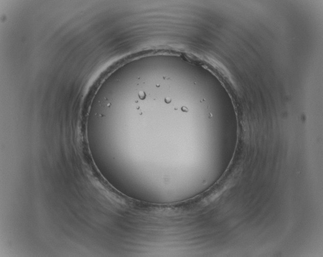 X0000076390880200610202102