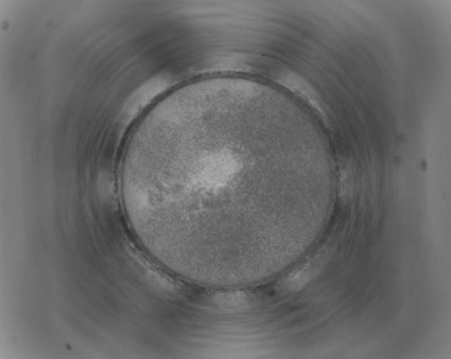 X0000076390882200610202101