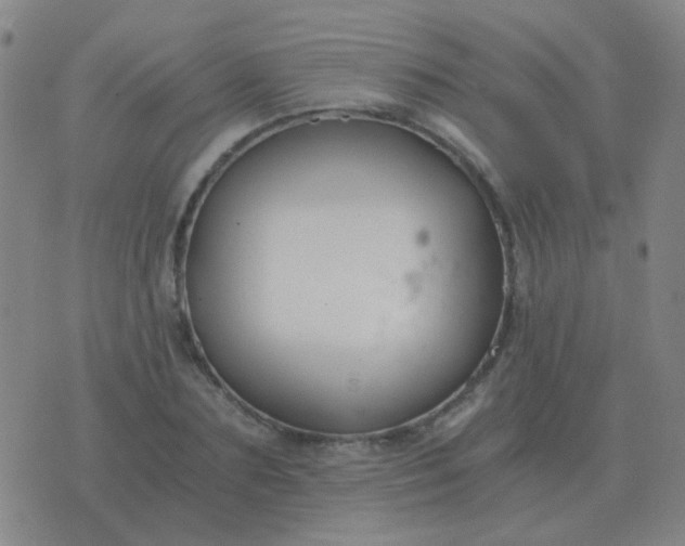 X0000076390883200610202101