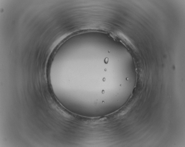 X0000076390884200610202101