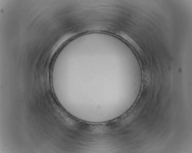 X0000076390886200610202101