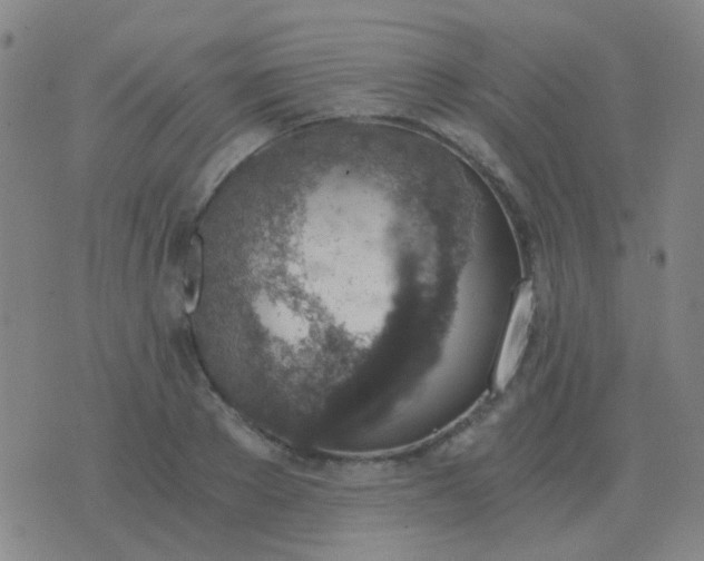 X0000076390889200610202101