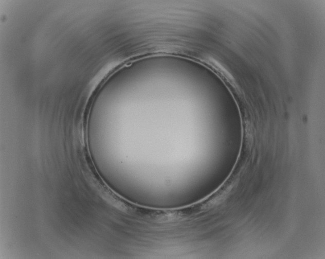 X0000076390891200610202101