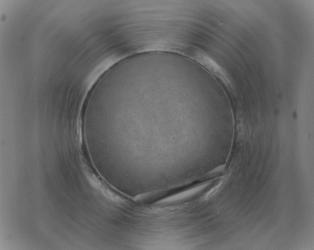 X0000076390892200610202101