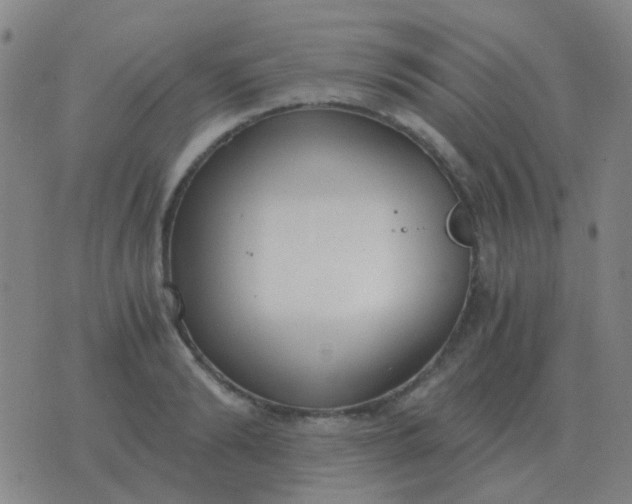 X0000076390894200610202101