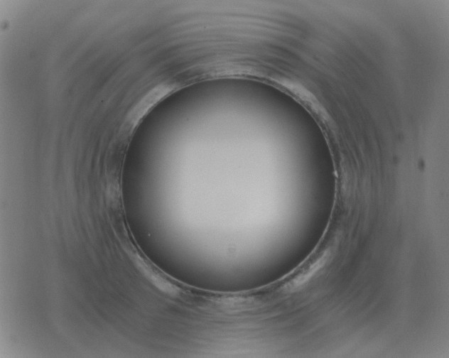 X0000076390897200610202101