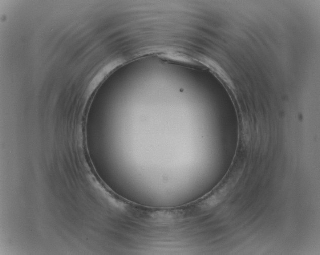 X0000076390898200610202101