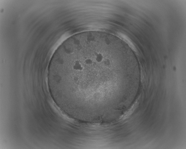 X0000076390899200610202101