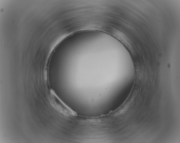 X0000076390900200610202101