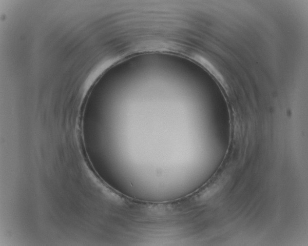 X0000076390901200610202101