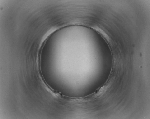 X0000076390902200610202101