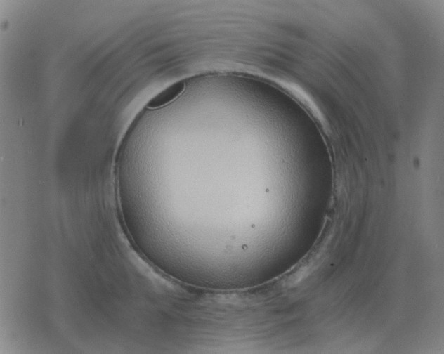 X0000076390903200610202101