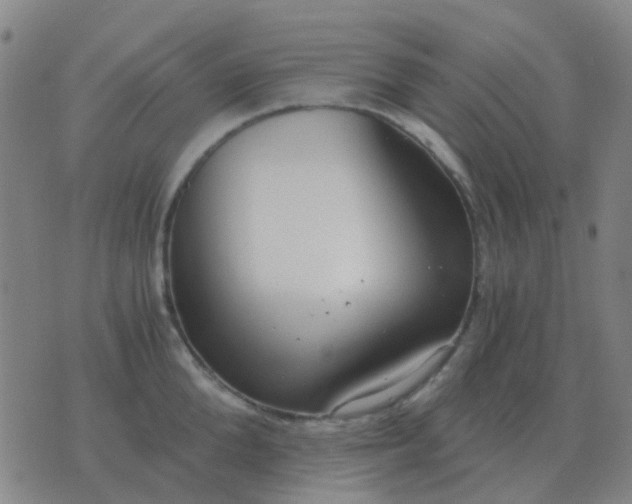 X0000076390904200610202101