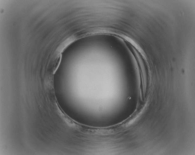 X0000076390905200610202101