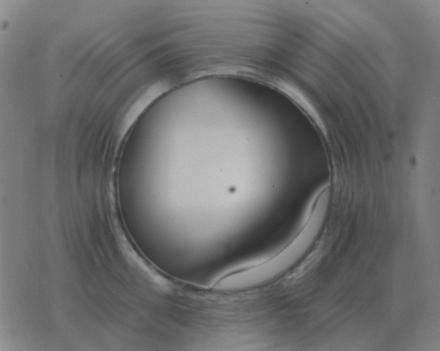 X0000076390906200610202101