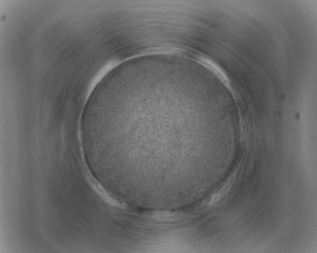 X0000076390907200610202101