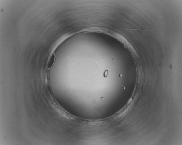 X0000076390908200610202101