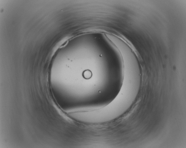 X0000076390909200610202101