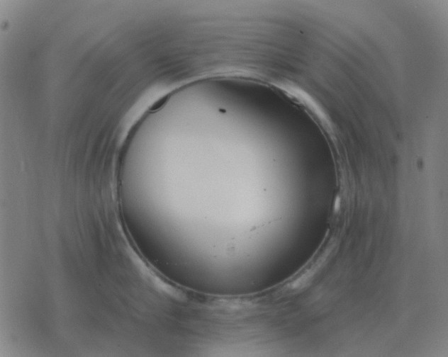 X0000076390910200610202101