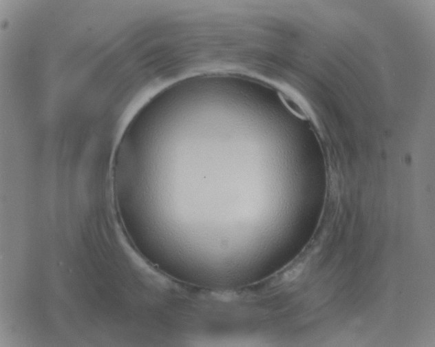 X0000076390911200610202101