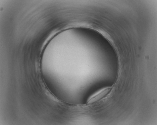 X0000076390912200610202101