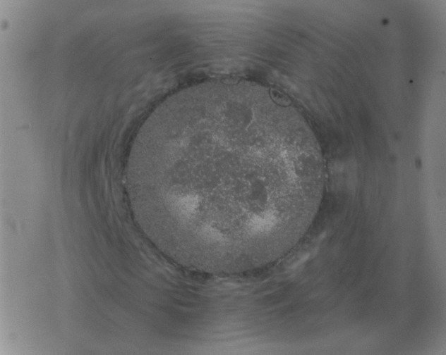 X0000076390913200610202100