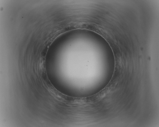 X0000076390914200610202100