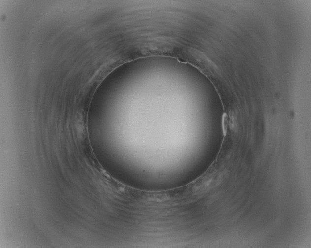 X0000076390915200610202100