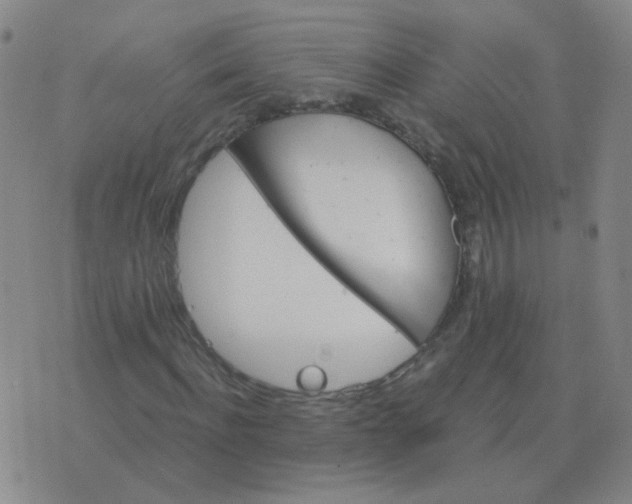 X0000076390916200610202100