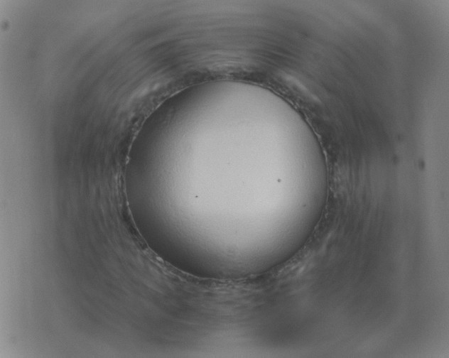 X0000076390917200610202100