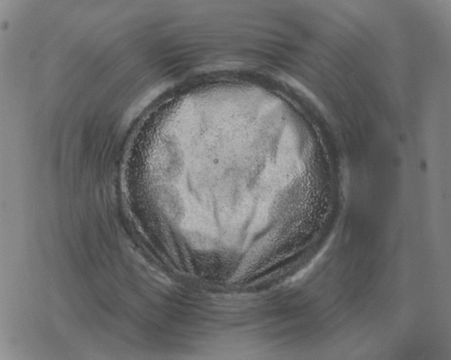 X0000076390921200610202100