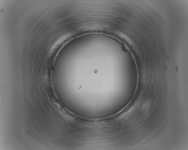 X0000076390922200610202100