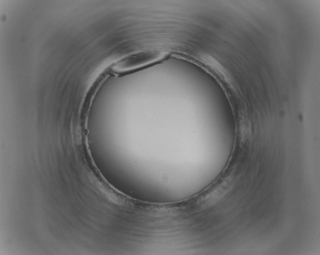 X0000076390924200610202100