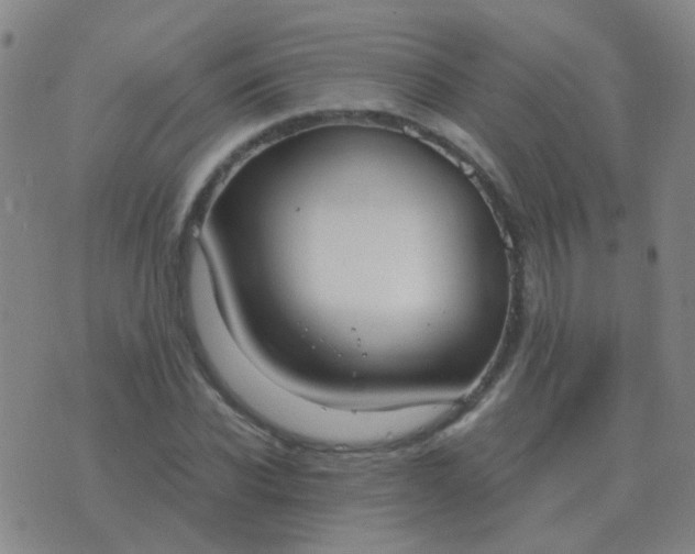 X0000076390926200610202100