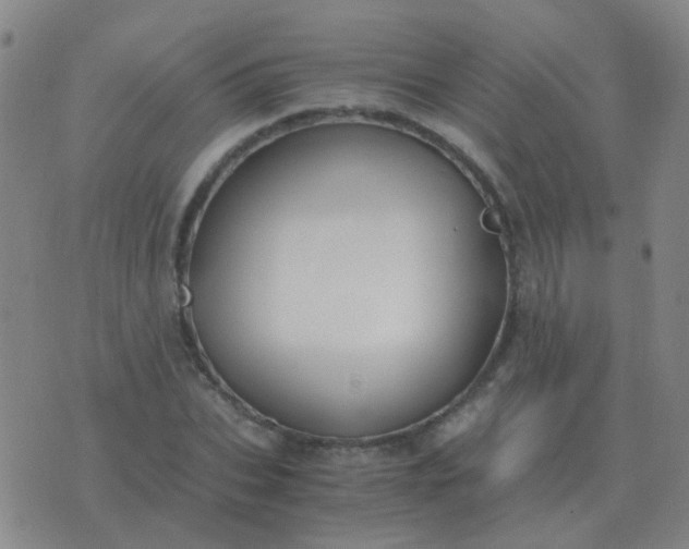 X0000076390927200610202100