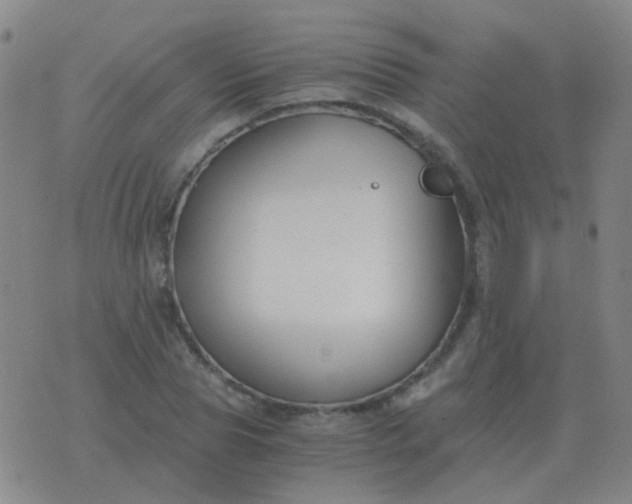 X0000076390929200610202100