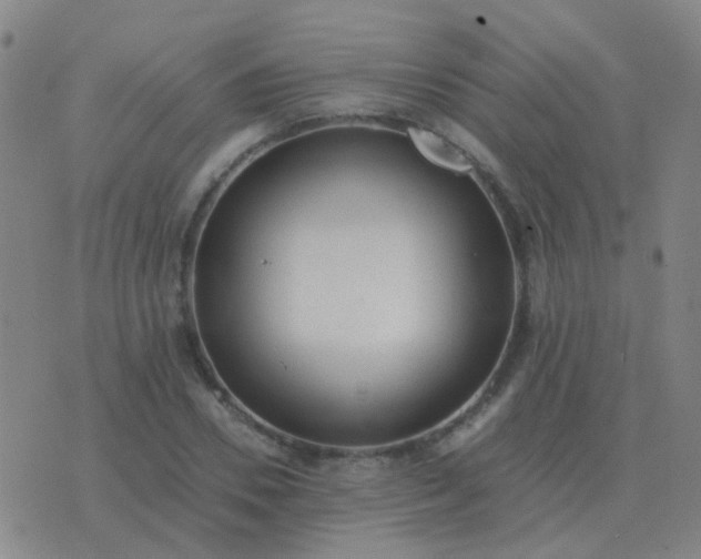 X0000076390930200610202100