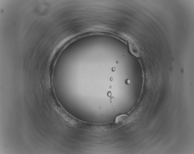 X0000076390931200610202101