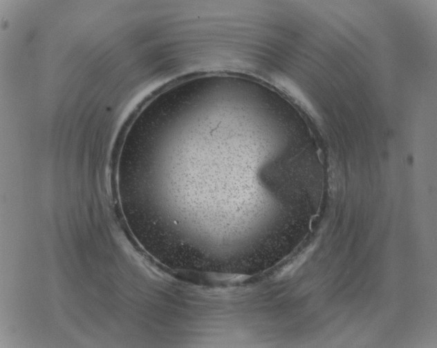 X0000076390932200610202101