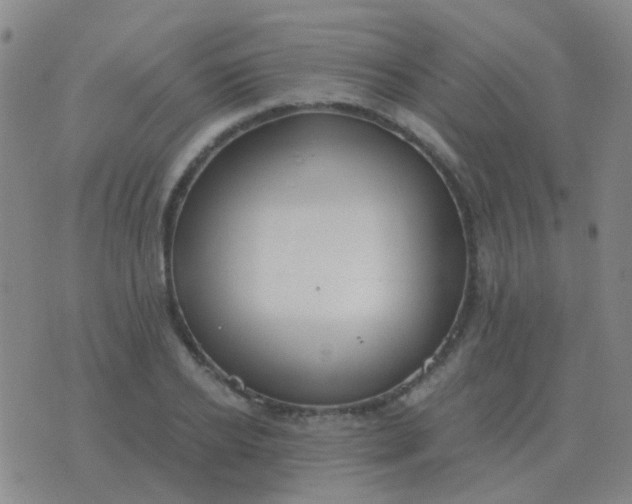 X0000076390934200610202101