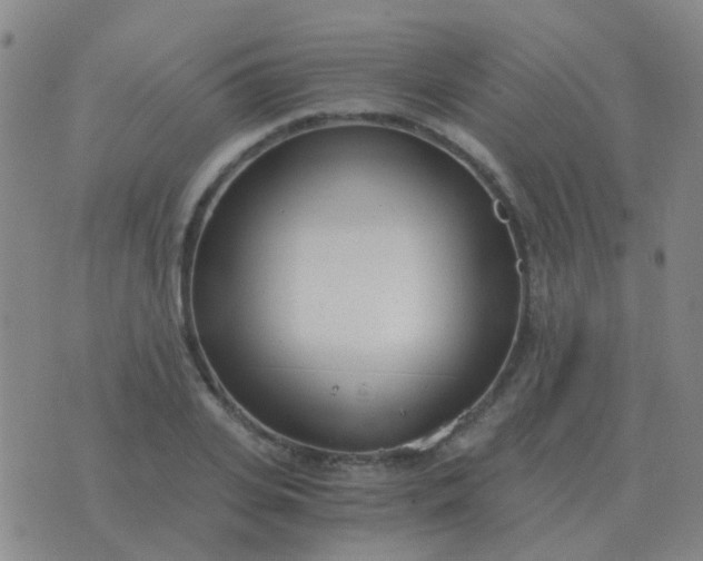 X0000076390935200610202101