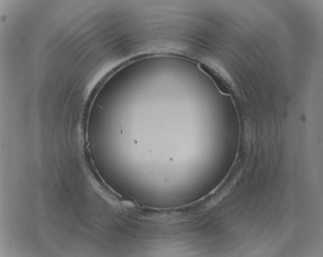 X0000076390936200610202101