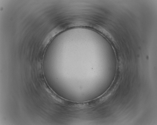 X0000076390937200610202101