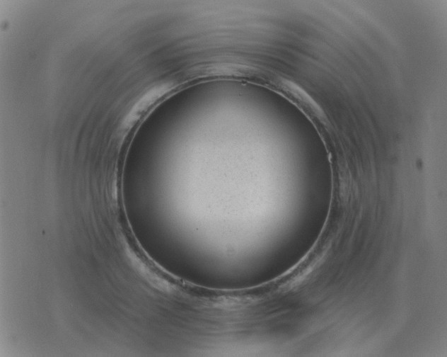 X0000076390938200610202101